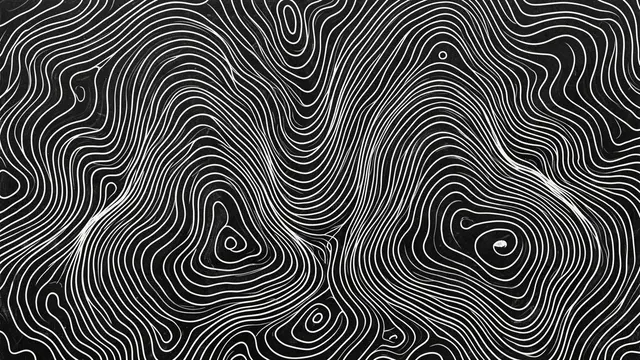 Crisp white wavy topographic contour lines drawn across a solid black charcoal background