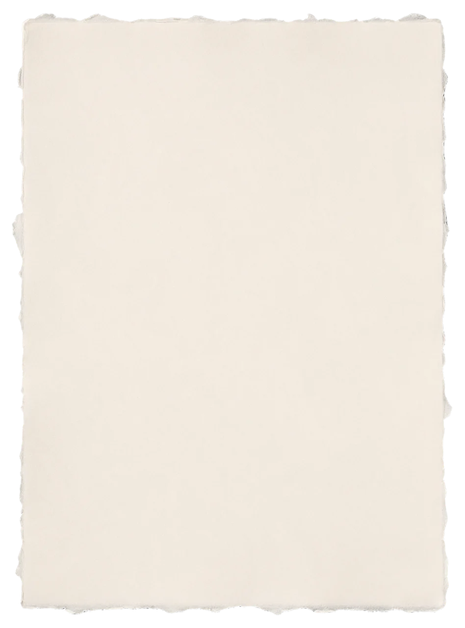 A blank upright sheet of thick off-white paper with rough hand-torn edges and soft feathered fibers.