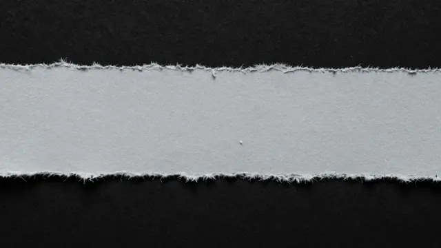 A long pale gray torn paper strip with fibrous feathered edges sits against a solid black background.