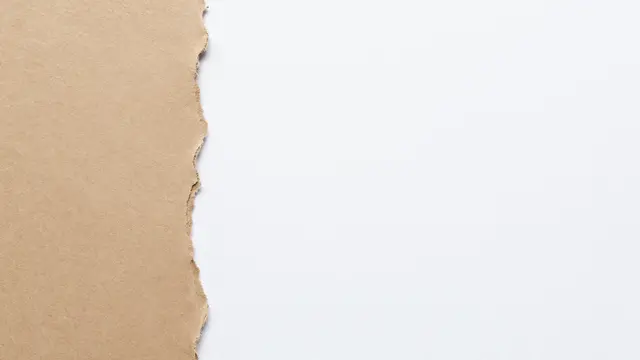 Ragged torn brown kraft paper sits on the left against a plain white backdrop with empty copy space to the right