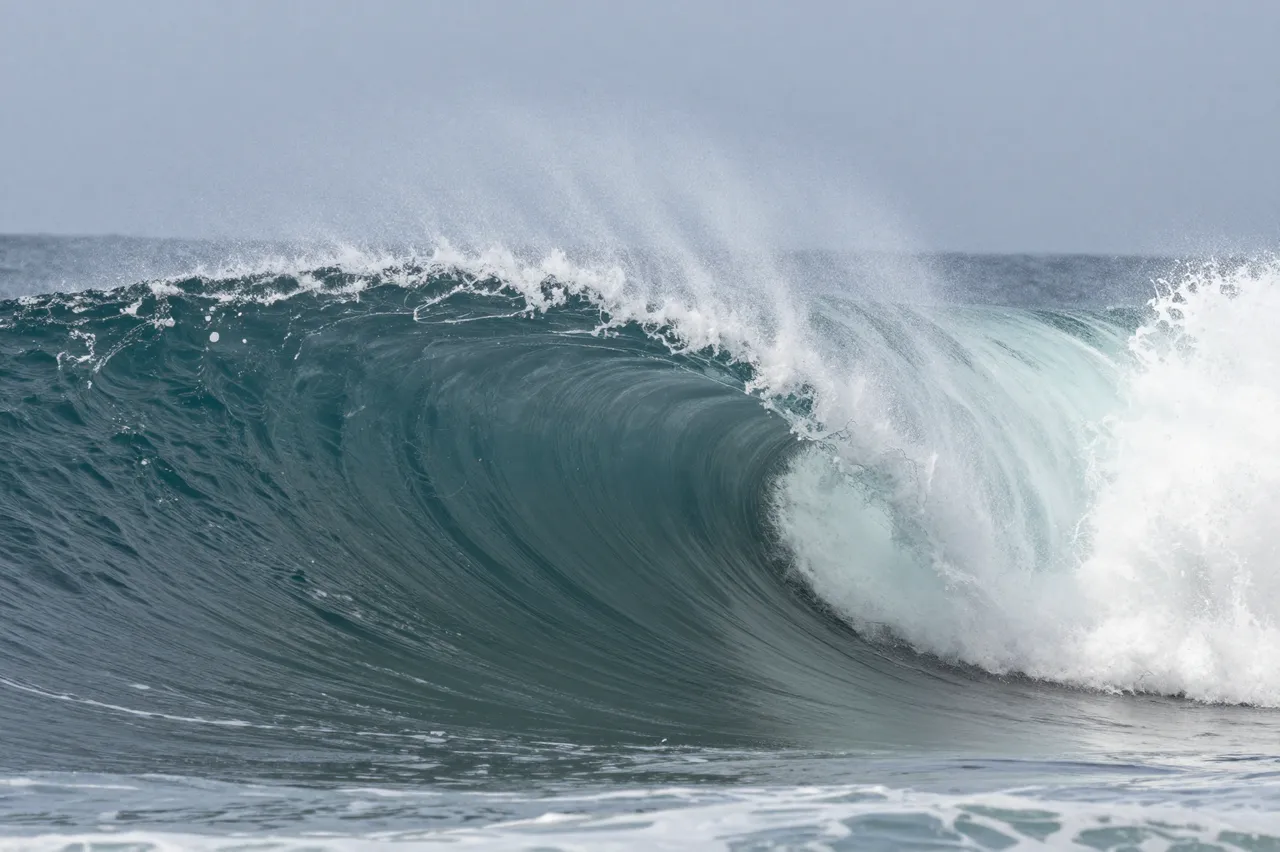 A curling ocean wave blows fine spray off its crest beneath an overcast gray sky