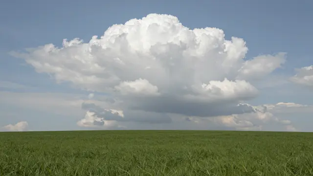 A large billowing cumulus cloud floats above a wide flat green grass plain under a pale blue sky