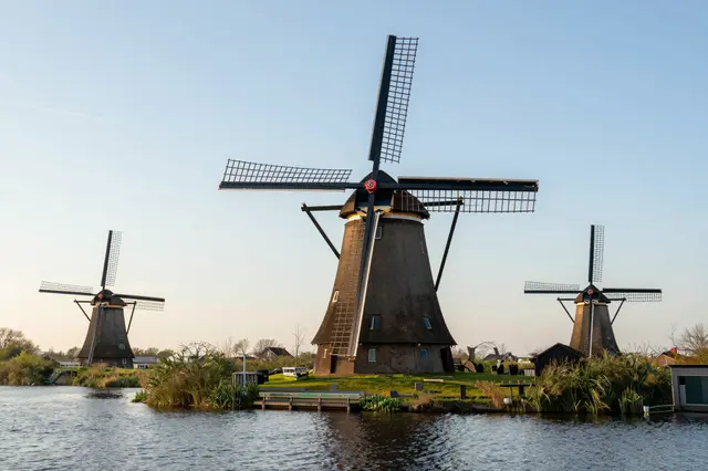 Three historic traditional windmills stand along a calm canal under a soft pale sunrise sky