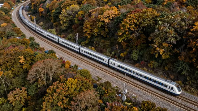 Aerial overhead view of a passenger train traveling along curved railway tracks through a dense colorful autumn forest