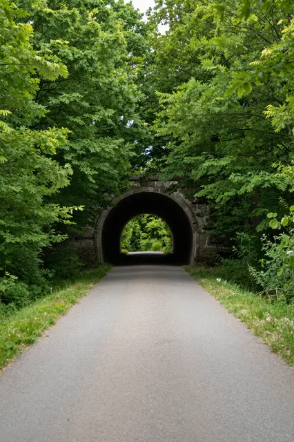 A paved path leads toward an old stone arch tunnel framed by dense summer green foliage.