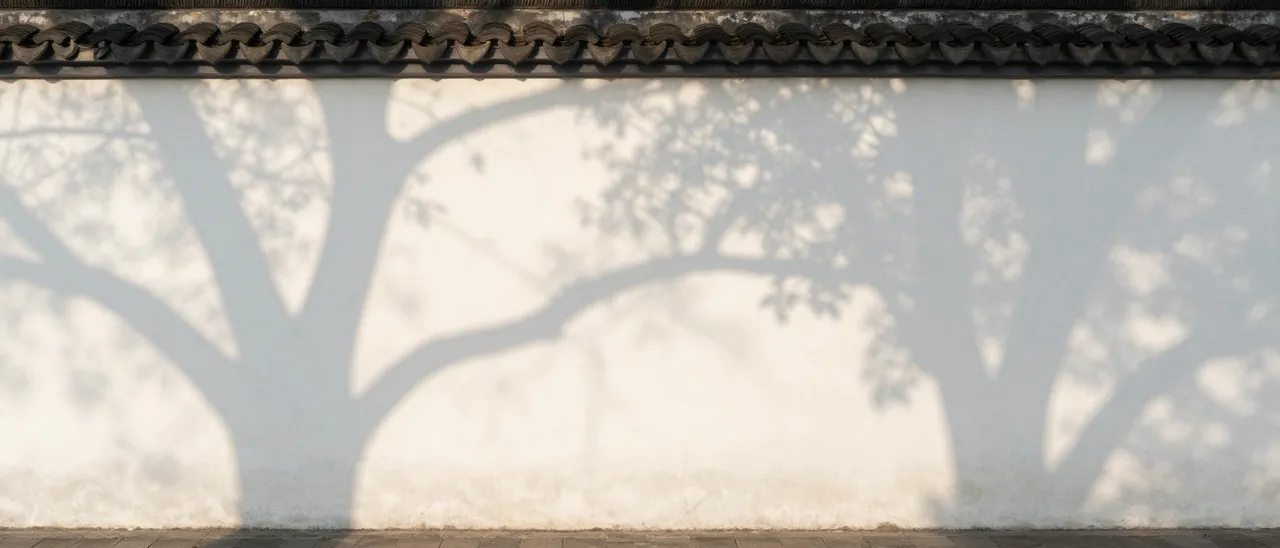 Soft dappled tree shadows stretch across a long white plaster wall under warm morning sunlight