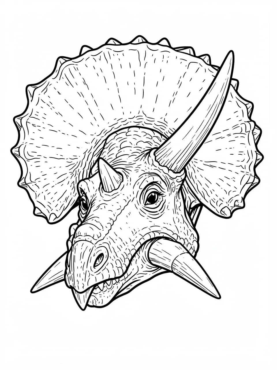 Detailed black and white line art of a triceratops head with a large frill on a plain white background