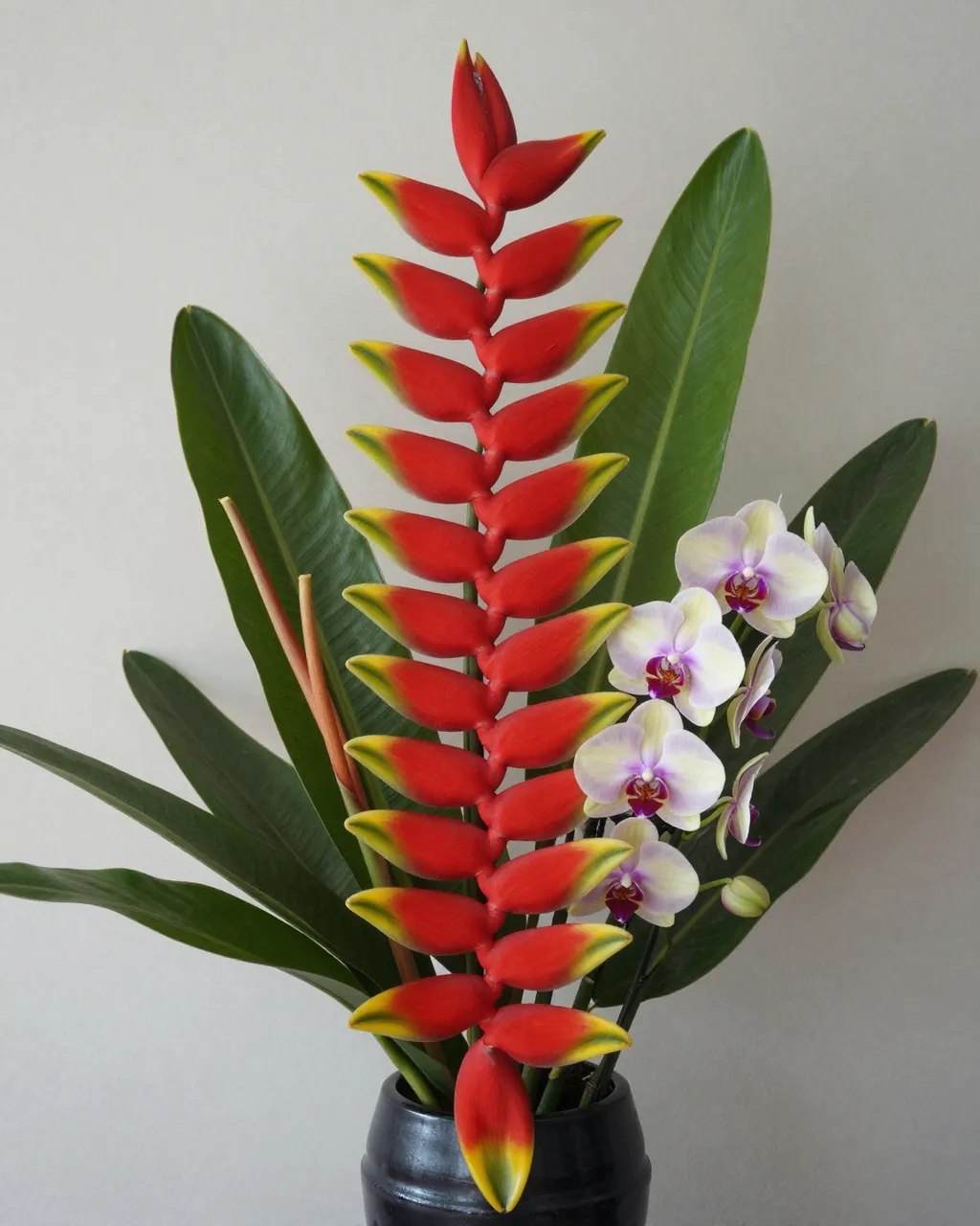 A tropical flower arrangement with red heliconia and pale purple orchids sits in a dark ceramic vase against a plain neutral