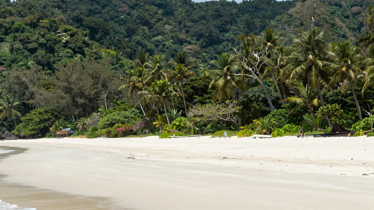 Wide white sand beach lined with palm trees backed by dense jungle covered mountains under bright daylight
