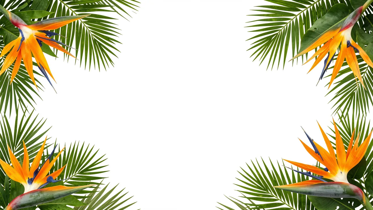 Bird of paradise flowers and palm fronds frame an empty plain white central space.
