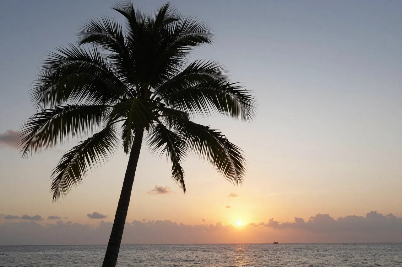 Silhouetted coconut palm tree stands against a calm ocean sunset with a distant boat on the water
