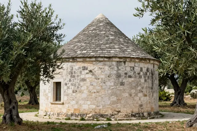 Traditional conical stone trullo surrounded by gnarled olive trees under a pale overcast sky