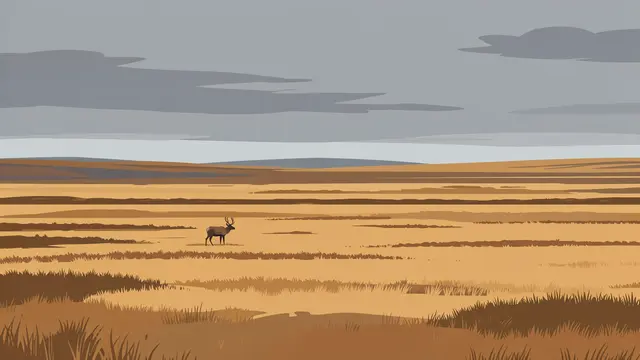 A lone caribou stands on a wide flat tundra plain under low gray overcast clouds