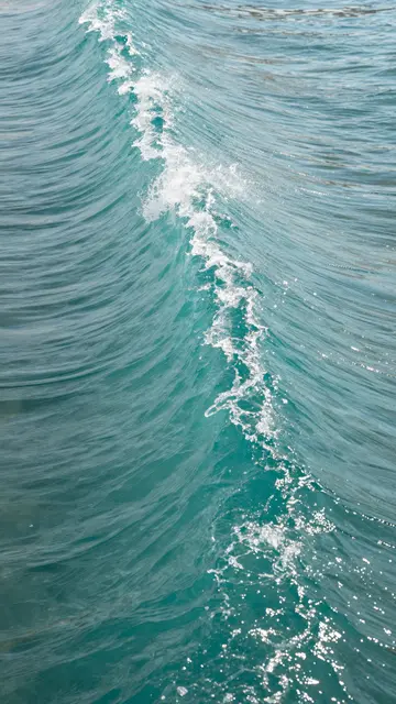 A vertical view of a curving turquoise breaking wave with bright white frothy surf along its crest