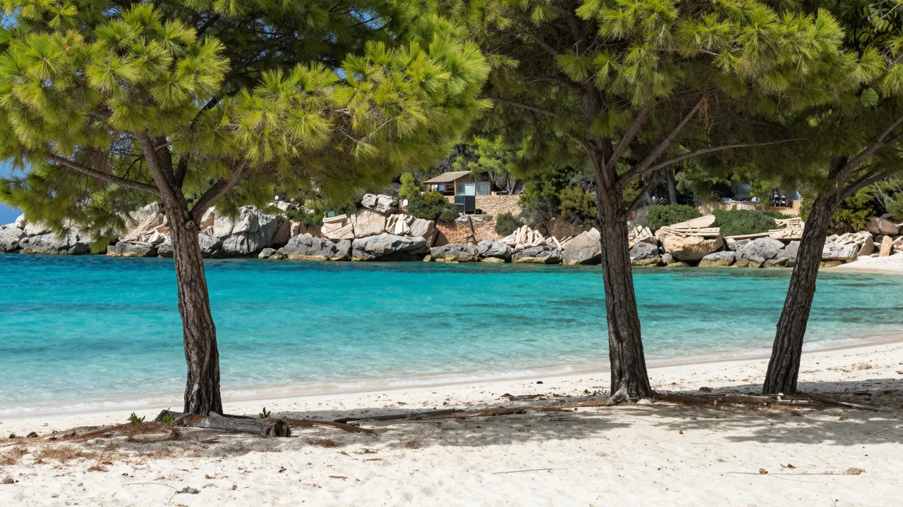 Coastal cove with turquoise water, white sand beach, and pine trees along the shoreline