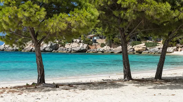 Coastal cove with turquoise water, white sand beach, and pine trees along the shoreline