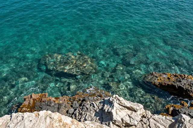 Clear turquoise coastal water reveals rocky seabed viewed from a sunlit cliff edge