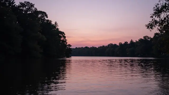 Pink and purple twilight sky reflects on calm lake water framed by dark silhouetted trees