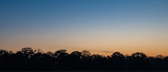 Smooth twilight sky gradient from deep blue to warm amber above a dark silhouetted treeline with ample empty upper space