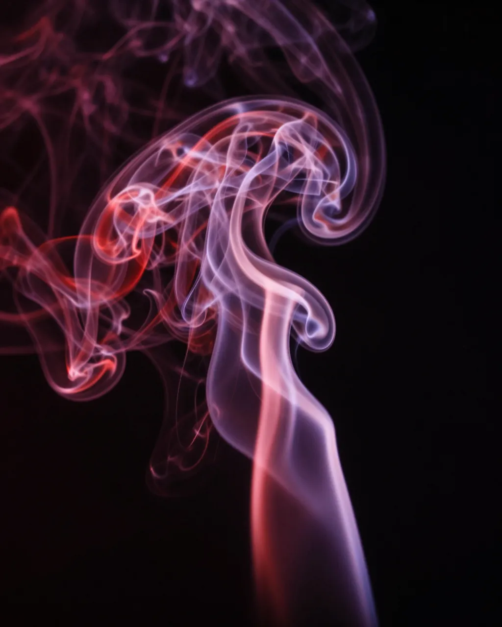 Glowing twisting red and purple smoke wisps curl against a solid black background