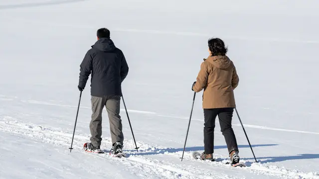 Seen from behind, two adult people snowshoe across a wide open snow-covered meadow on a bright sunny day