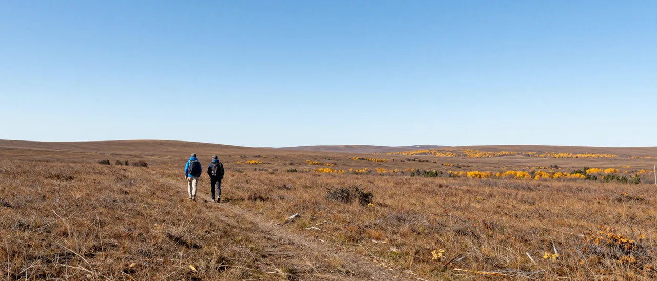 Two distant hikers walk along a narrow dirt trail across vast golden autumn tundra under a clear bright blue sky