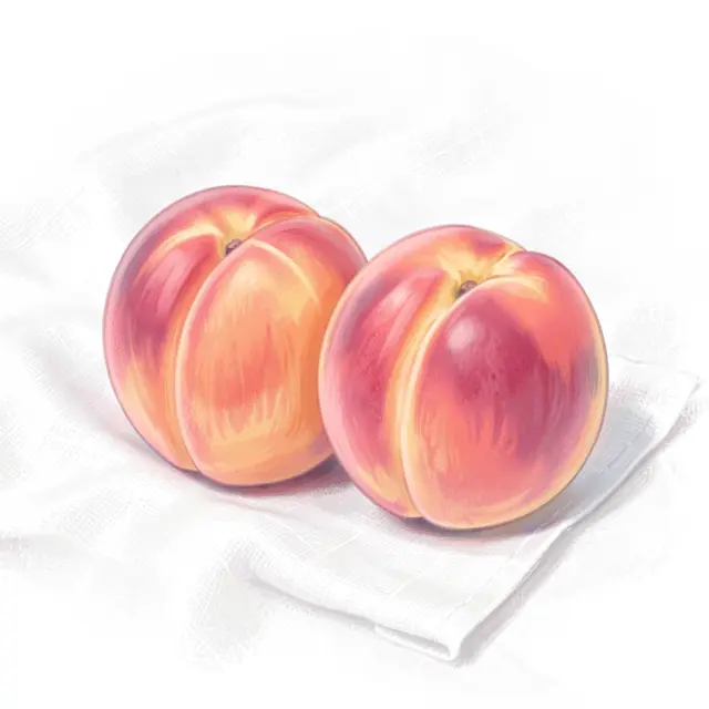 Soft pastel drawing of two ripe peaches resting on a textured white linen cloth