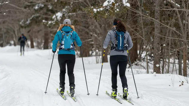 Two women viewed from behind cross-country ski along a snow-covered forest trail