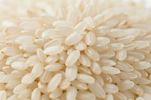 Close-up macro view of a dense pile of pale uncooked jasmine rice grains