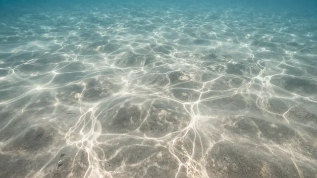 Rippled dappled sunlight dances across a shallow sandy ocean seabed through clear turquoise water