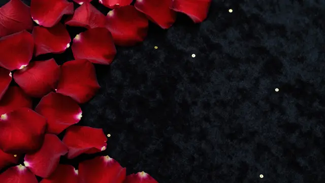 Dark red rose petals and scattered gold sequins rest on black velvet with empty copy space on the right