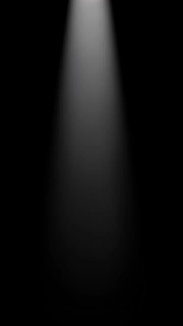 A soft vertical cone of spotlight descends from the top frame against a solid pure black background
