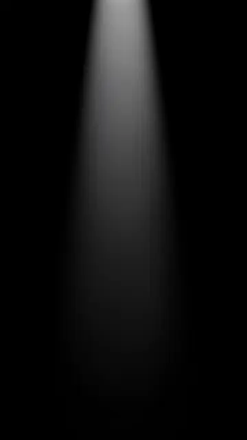 A soft vertical cone of spotlight descends from the top frame against a solid pure black background