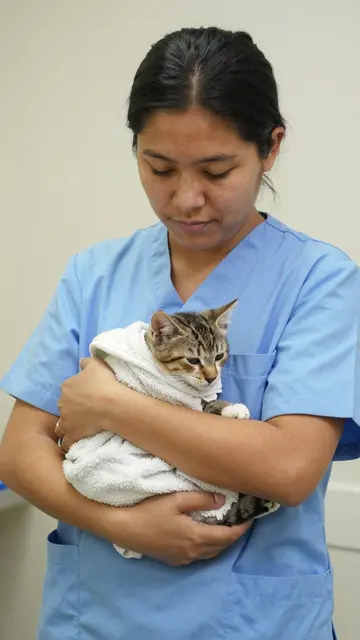 Veterinary nurse in blue scrubs cradles a tabby kitten wrapped in a soft white towel in a clinic.