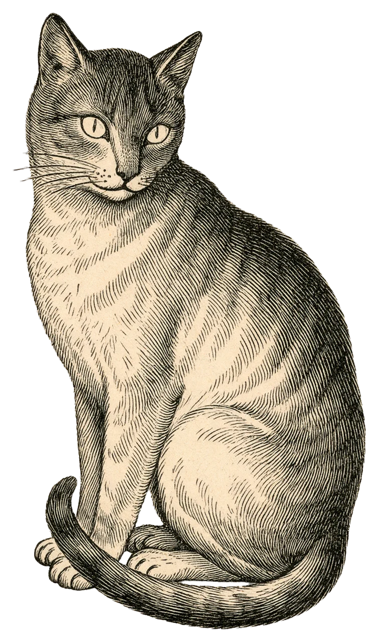 Antique style engraving of a sitting cat looking back over its shoulder with curled tail