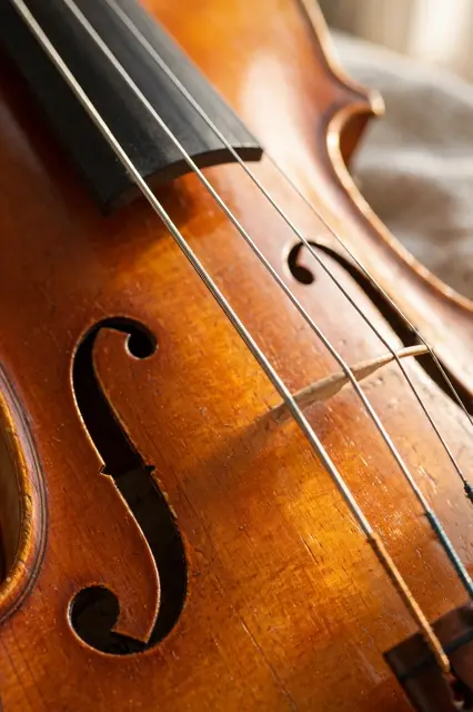 Close-up of an amber varnished violin body showing strings, f-holes, and soft window light glow.