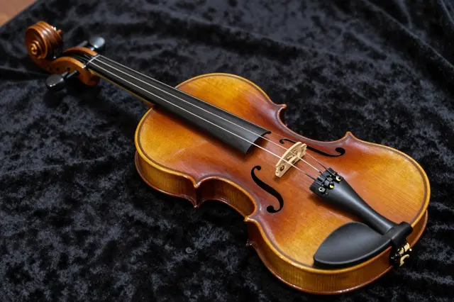 A polished wooden violin rests flat on a draped dark velvet fabric surface.