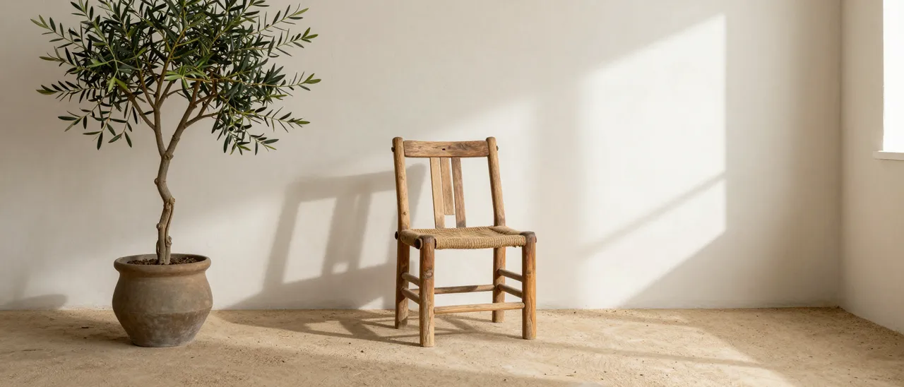 Potted olive tree and vintage wooden chair sit in a sunlit minimal room with soft wall shadows