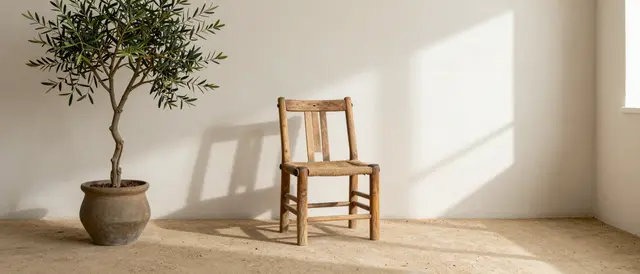 Potted olive tree and vintage wooden chair sit in a sunlit minimal room with soft wall shadows