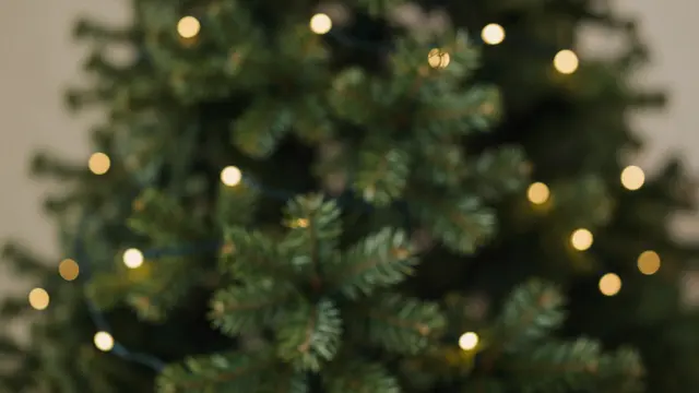 Softly focused evergreen Christmas tree branches with scattered warm golden fairy light bokeh
