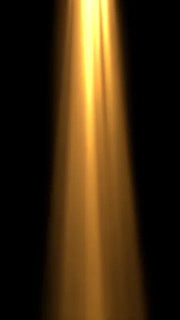 Soft golden sunbeams stream vertically down through haze against a solid pure black background