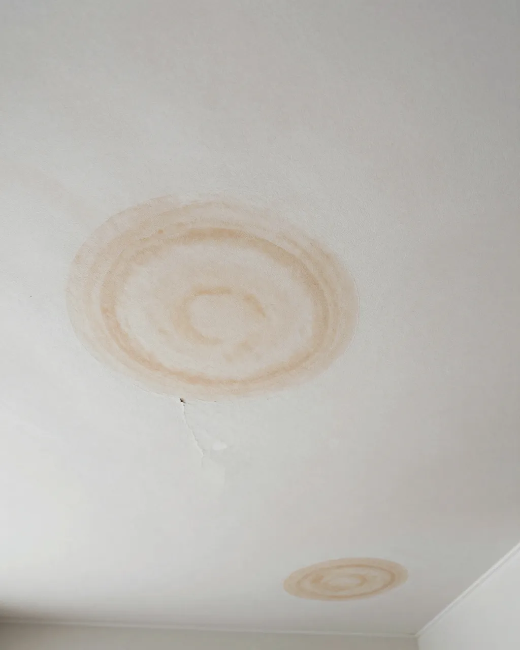 White ceiling plaster marked with concentric brown water tide stains and a small peeling crack