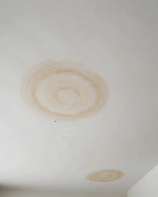 White ceiling plaster marked with concentric brown water tide stains and a small peeling crack