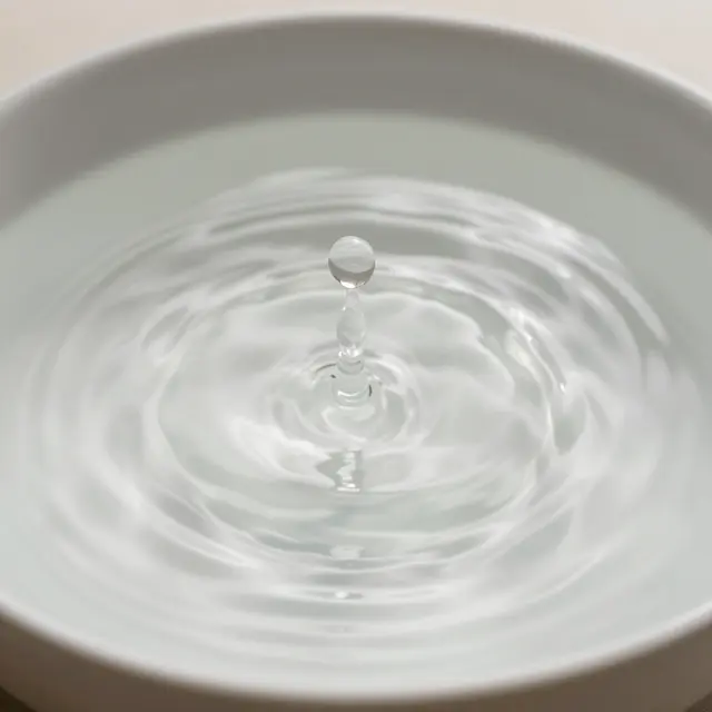 A water drop hovers above ripples spreading across the surface of water in a white bowl.