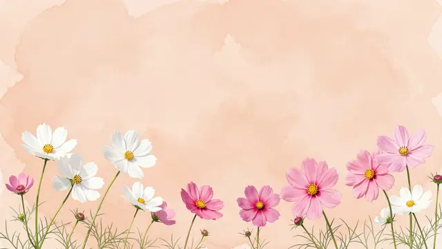 White and pink cosmos flowers line the bottom edge of a soft peach watercolor background with empty upper copy space