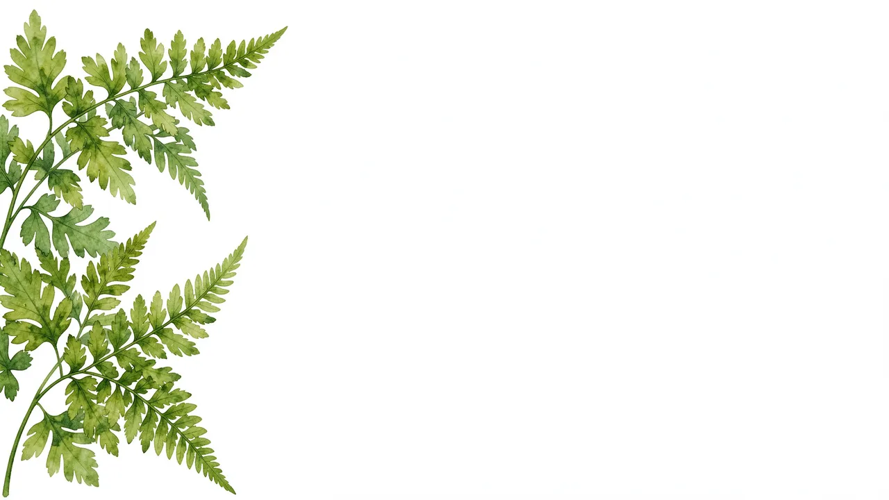 Delicate watercolor fern fronds extend from the left edge of a blank wide white background