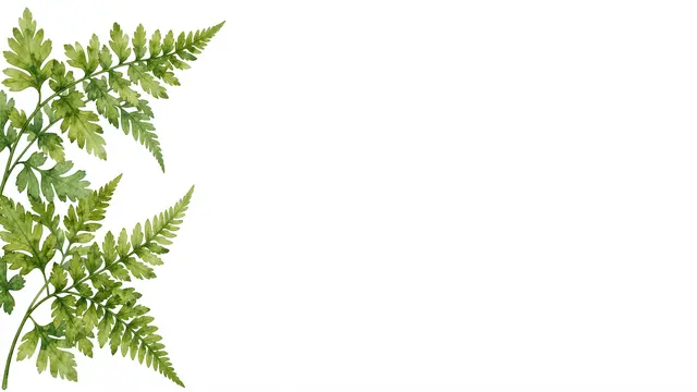 Delicate watercolor fern fronds extend from the left edge of a blank wide white background