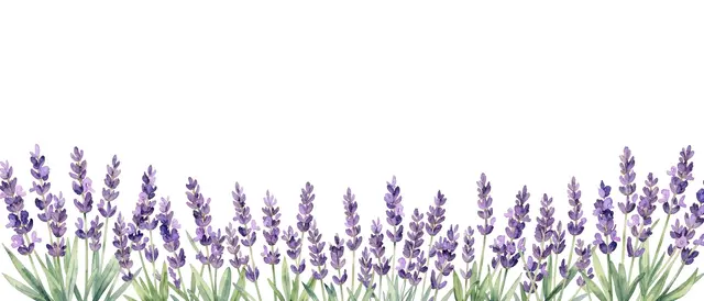 Hand-painted watercolor lavender sprigs form a decorative bottom border above blank white space