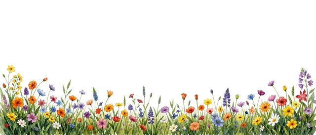 A delicate watercolor illustration of mixed wildflowers growing along the bottom edge, with wide blank white space above.
