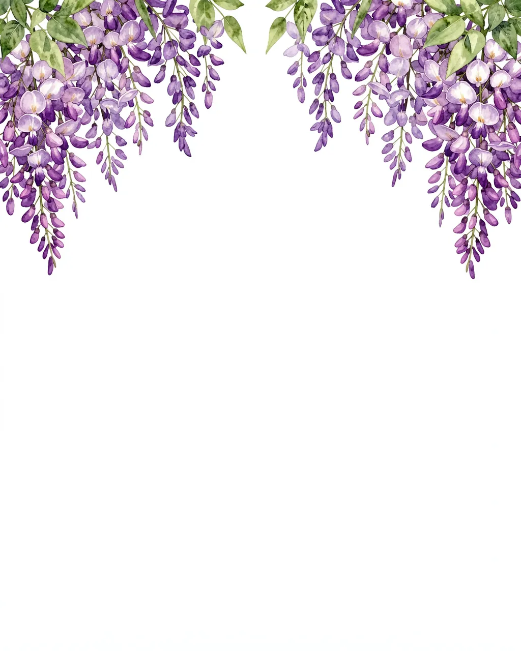 Hanging lilac wisteria clusters in watercolor fill the top corners of an empty white background